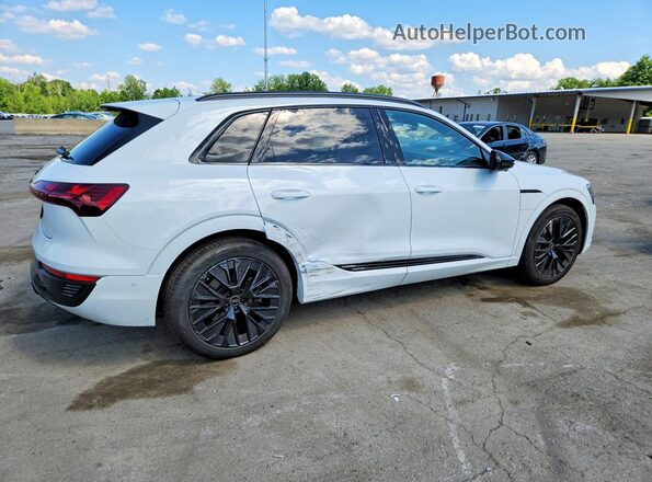 WA16ABGE0RB007918 2024 AUDI Q8 White Задня права чверть