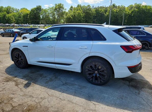 WA16ABGE0RB007918 2024 AUDI Q8 White Задня ліва чверть