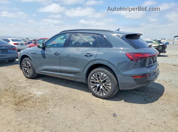 WA16ABGE8RB021078 2024 AUDI Q8 Gray უკანა მარცხენა