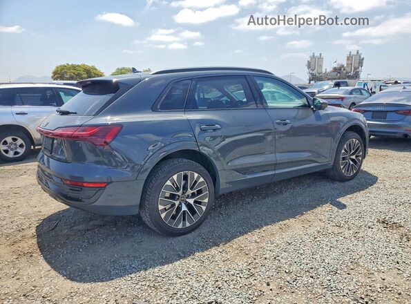 WA16ABGE8RB021078 2024 AUDI Q8 Gray უკანა მარჯვენა