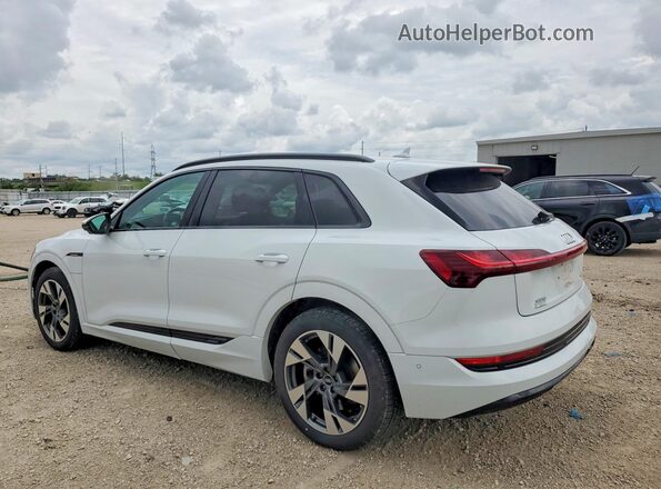 WA1AAAGE0MB010699 2021 AUDI E-TRON White Tył lewy