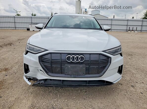 WA1AAAGE0MB010699 2021 AUDI E-TRON White Widok z przodu