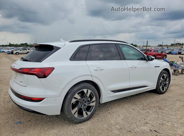 WA1AAAGE0MB010699 2021 AUDI E-TRON White Tył prawy