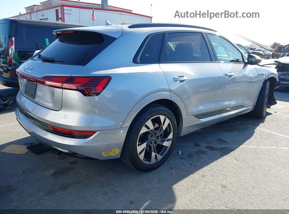 WA1AAAGE3MB039128 2021 AUDI E-TRON Silver Tył prawy