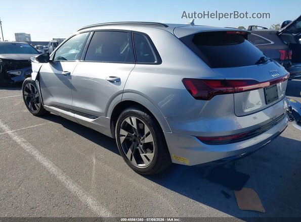WA1AAAGE3MB039128 2021 AUDI E-TRON Silver Tył lewy