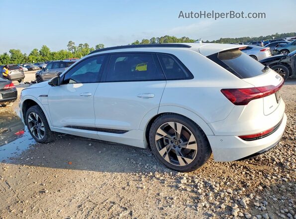 WA1AAAGE6NB012586 2022 AUDI E-TRON White Tył lewy