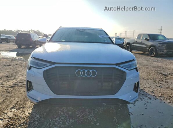 WA1AAAGE6NB012586 2022 AUDI E-TRON White Widok z przodu
