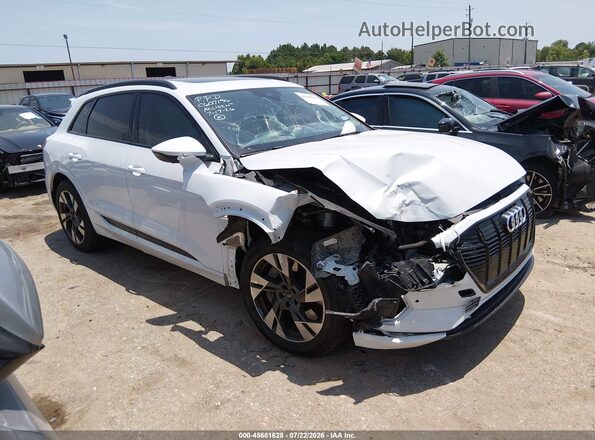 WA1AAAGE9MB007848 2021 AUDI E-TRON Белый Вид задней части салона