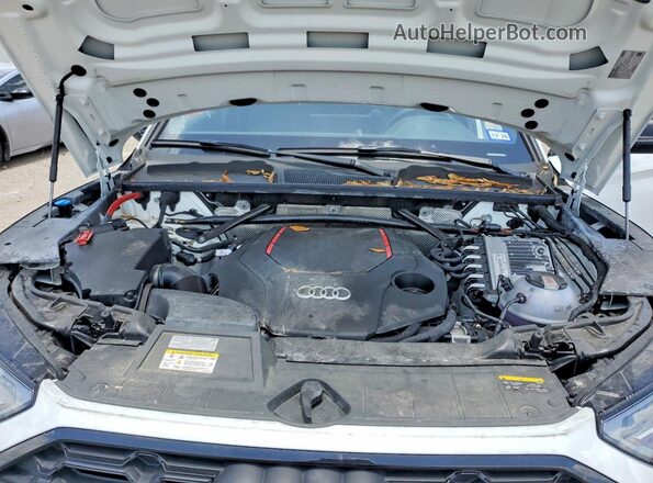 WA1B4AFY6R2018627 2024 AUDI SQ5 White Вид задньої частини салону