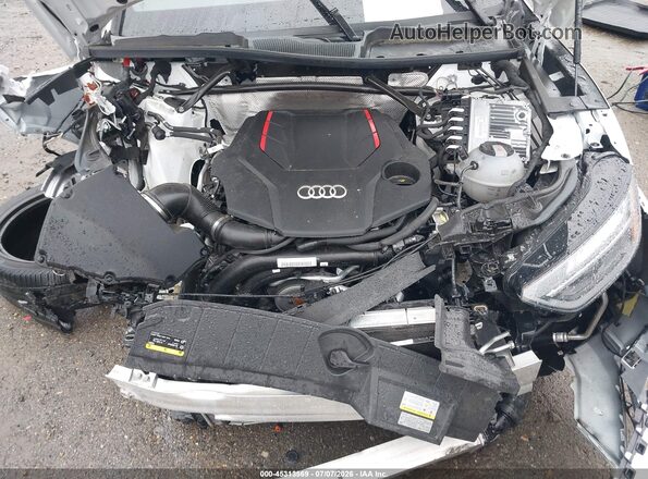 WA1B4AFY6R2031524 2024 AUDI SQ5 White Rear view