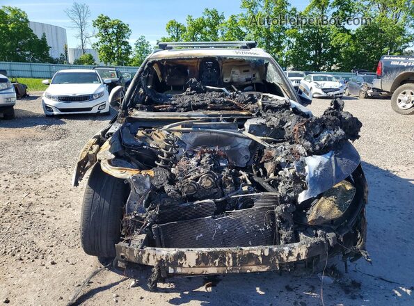 WA1BAAFY0M2051298 2021 AUDI Q5 White Widok z przodu