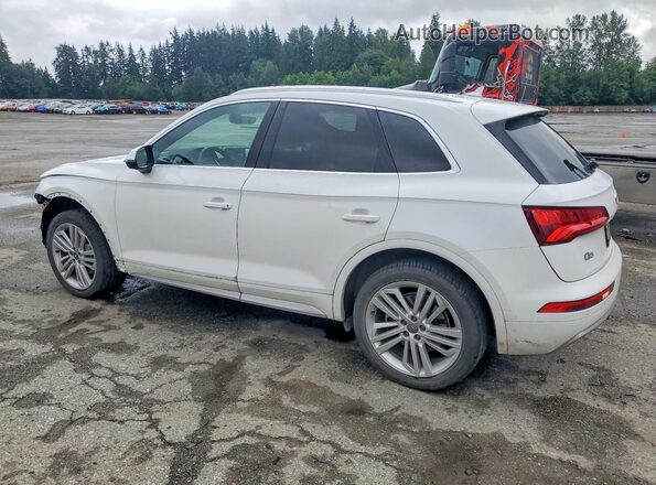 WA1BNAFY5K2124389 2019 AUDI Q5 White Задня ліва чверть