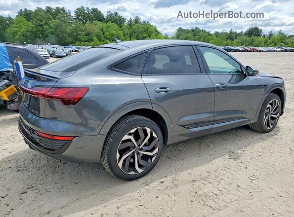 WA1CABGE3RB036106 2024 AUDI Q8 Black Trasero derecho