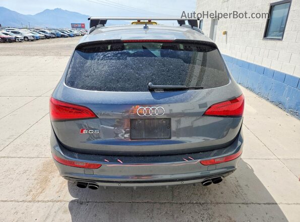 WA1CCAFP2GA029819 2016 AUDI SQ5 Gray Rear view