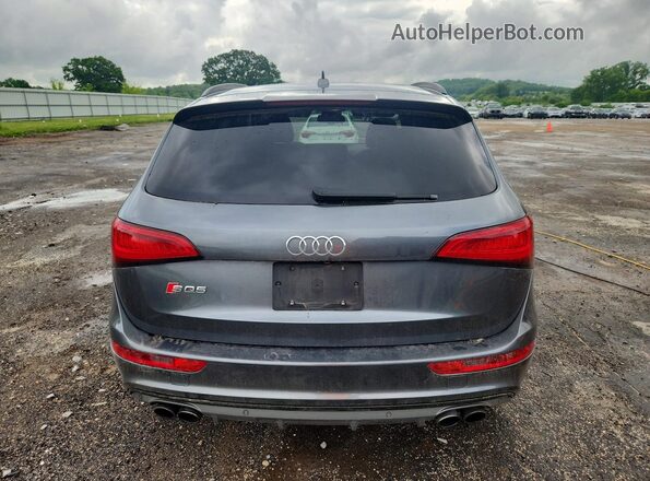 WA1CCAFP8GA034247 2016 AUDI SQ5 Gray Rear view