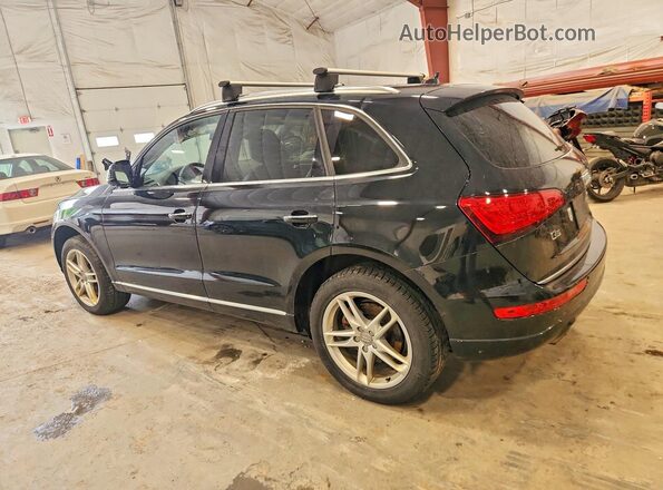 WA1CVAFP3GA056022 2016 AUDI Q5 Black Հետևի ձախ