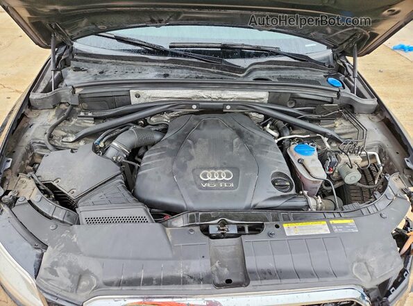 WA1CVAFP8GA020651 2016 AUDI Q5 Black Սալոնի հետևի տեսք