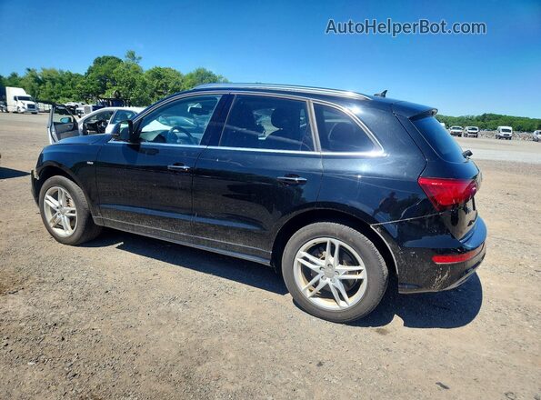 WA1D7AFP0GA145027 2016 AUDI Q5 Black უკანა მარცხენა