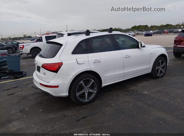 WA1D7AFP2GA046676 2016 AUDI Q5 White Tył prawy