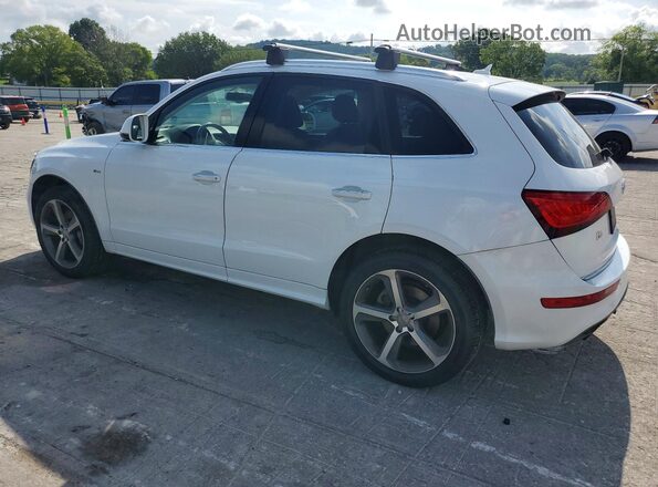WA1D7AFP6GA121458 2016 AUDI Q5 White უკანა მარცხენა