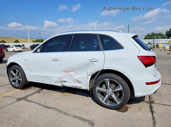 WA1D7AFP8GA099284 2016 AUDI Q5 Белый Задняя левая четверть