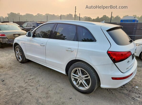 WA1D7AFP8GA103348 2016 AUDI Q5 White უკანა მარცხენა