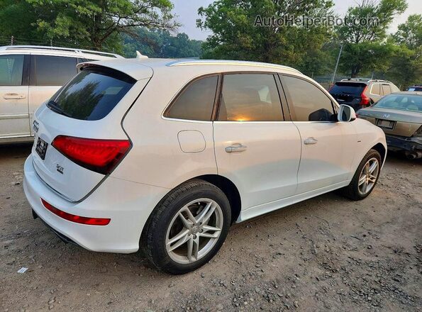 WA1D7AFP8GA103348 2016 AUDI Q5 White უკანა მარჯვენა