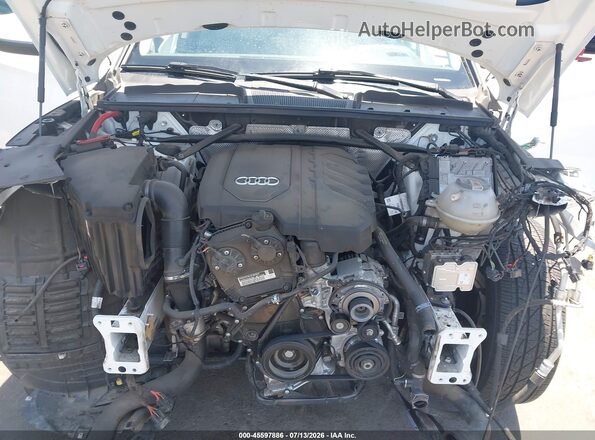 WA1EAAFY9P2053827 2023 AUDI Q5 White Widok z tyłu