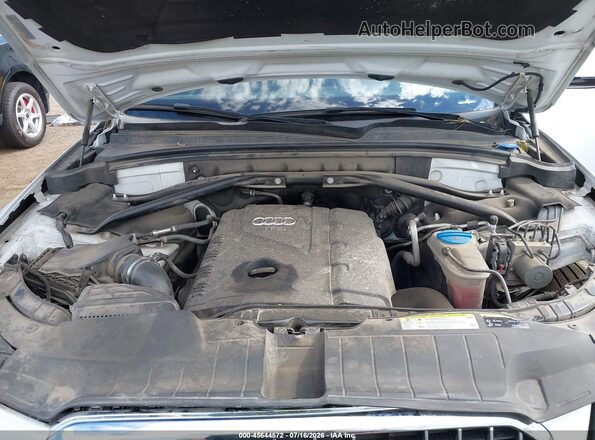 WA1L2AFP2GA100584 2016 AUDI Q5 Белый Вид сзади