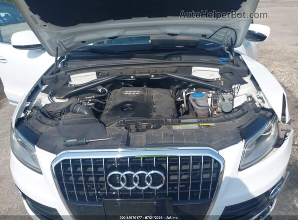 WA1L2AFP3GA042307 2016 AUDI Q5 White Вид ззаду