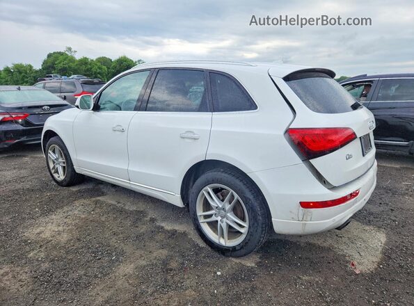 WA1L2AFP4HA043516 2017 AUDI Q5 White Հետևի ձախ