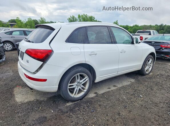 WA1L2AFP4HA043516 2017 AUDI Q5 White Հետևի աջ