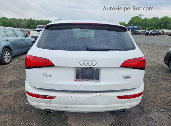 WA1L2AFP4HA043516 2017 AUDI Q5 White Հետևի տեսք