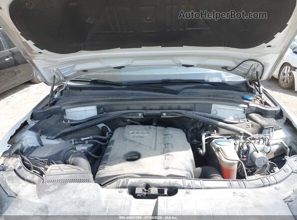WA1L2AFP5HA037286 2017 AUDI Q5 White Widok z tyłu