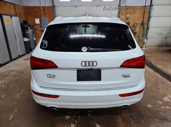 WA1L2AFPXHA045562 2017 AUDI Q5 White Вид ззаду
