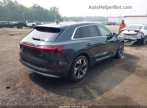 WA1LAAGE7MB010742 2021 AUDI E-TRON Blue Tył prawy