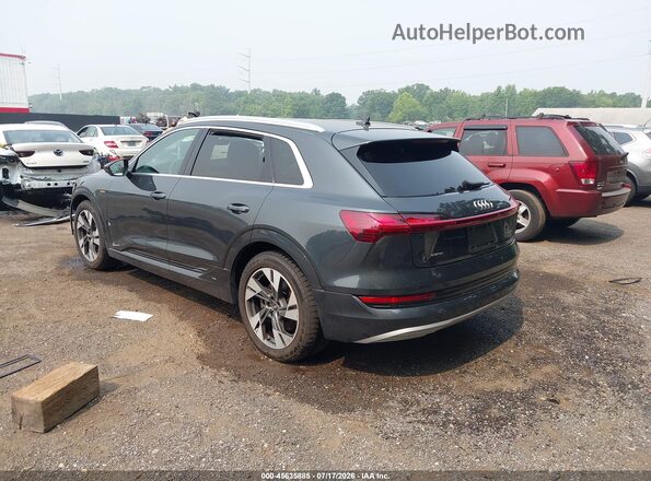 WA1LAAGE7MB010742 2021 AUDI E-TRON Blue Tył lewy