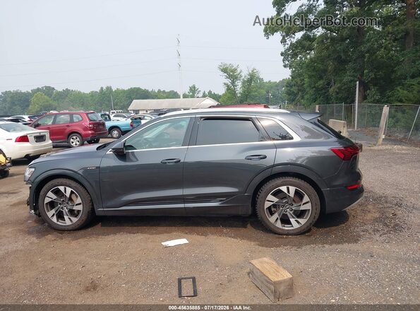 WA1LAAGE7MB010742 2021 AUDI E-TRON Blue 