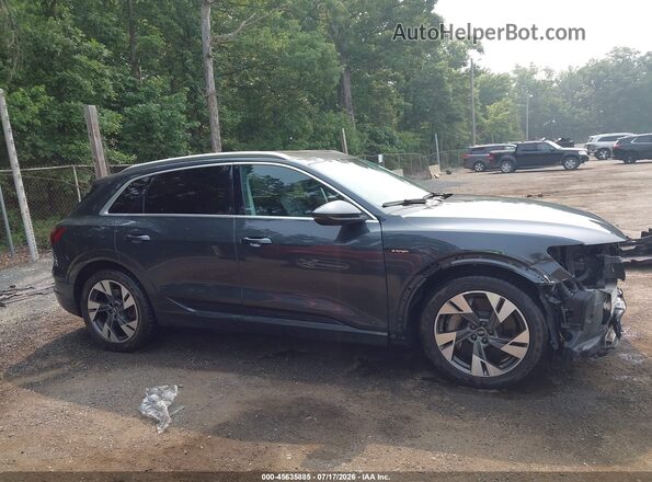 WA1LAAGE7MB010742 2021 AUDI E-TRON Blue Widok wnętrza 360 stopni