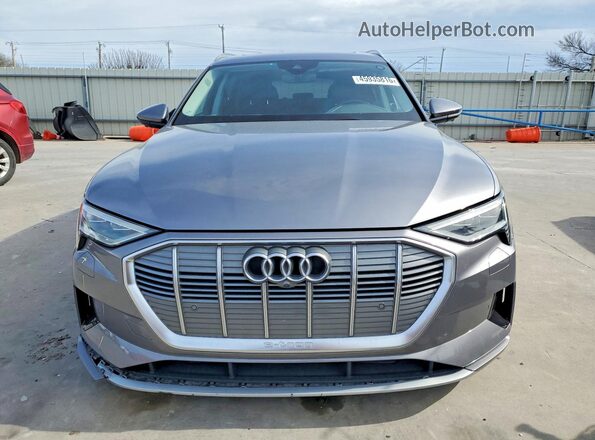 WA1LAAGE7NB013299 2022 AUDI E-TRON Silver Вид спереду