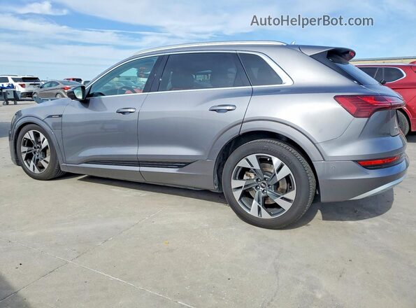 WA1LAAGE7NB013299 2022 AUDI E-TRON Silver Задня ліва чверть