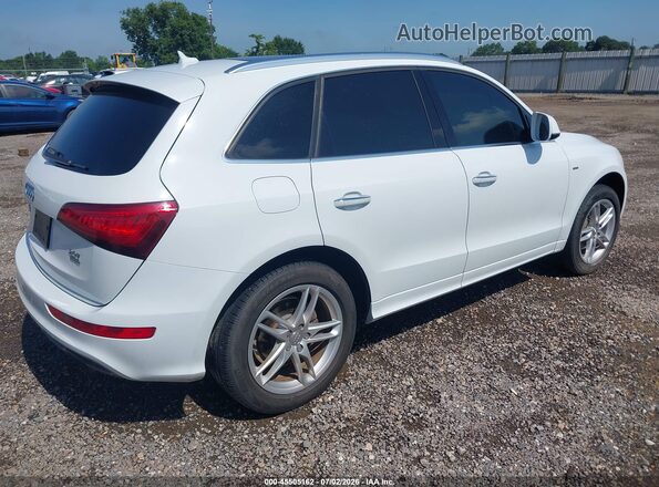 WA1M2AFP2HA037413 2017 AUDI Q5 White Tył prawy