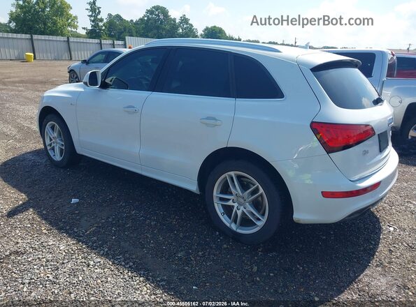 WA1M2AFP2HA037413 2017 AUDI Q5 White Tył lewy