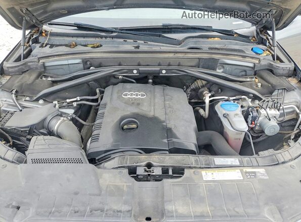 WA1M2AFP4HA095216 2017 AUDI Q5 Gray Սալոնի հետևի տեսք