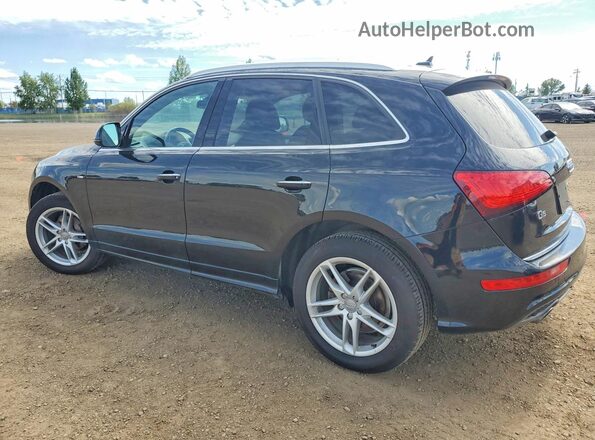 WA1M2AFP7HA099261 2017 AUDI Q5 Black Rear left