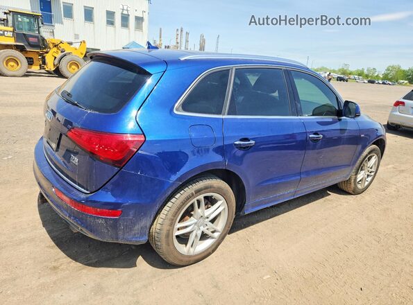 WA1M2AFP9HA024738 2017 AUDI Q5 Blue Հետևի աջ