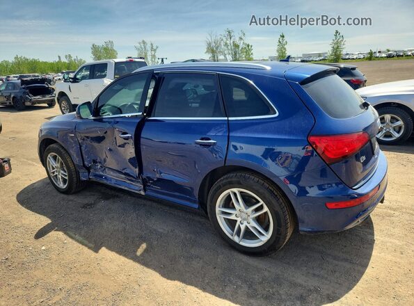 WA1M2AFP9HA024738 2017 AUDI Q5 Blue Հետևի ձախ