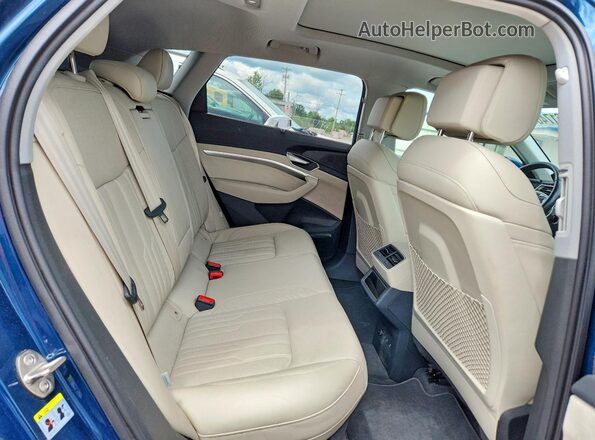 WA1VABGE4MB015766 2021 AUDI E-TRON Blue Вид задньої частини салону