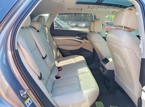 WA1VABGE9KB010060 2019 AUDI E-TRON Gray Սալոնի հետևի տեսք