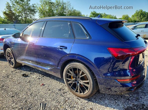 WA1VABGEXNB027048 2022 AUDI E-TRON Blue Задня ліва чверть